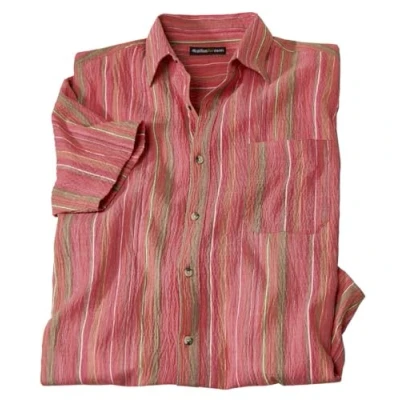 Immagine di ATLAS FOR MEN Camicia da Uomo in Cotone Maniche Corte Stile Chic e Casual Disponibile nelle Taglie Grandi M a 5XL