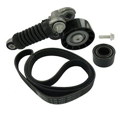 Immagine di SKF VKMA 36070 Kit cinghie Poly V RENAULT: CLIO 2