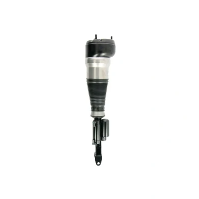 Immagine di BILSTEIN B4 OE Replacement (Air) 44 240011 Gamba elastica con ammortiz. pneumatico Assale anteriore Dx