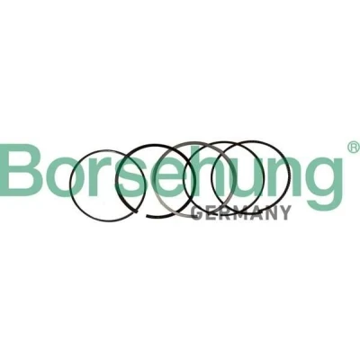 Immagine di Borsehung B10369 Kit Fasce Elastiche BMW: X1, 1 Hatchback, Hatchback