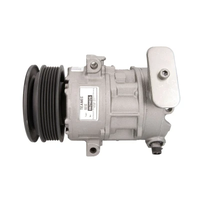 Immagine di Compressore dell&#039;aria condizionata TEAMEC 8629825