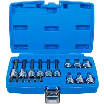 Immagine di BGS 5171 Set di inserti azionamento quadrato interno 6,3 mm (1/4&quot;) / 12,5 (1/2&quot;) esagono incassato 18 pezzi.