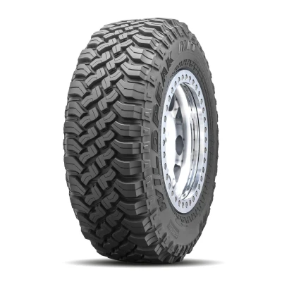 Immagine di WILDPEAK M/T MT01