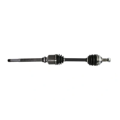 Immagine di Albero motore/Semiasse PASCAL G2P026PC