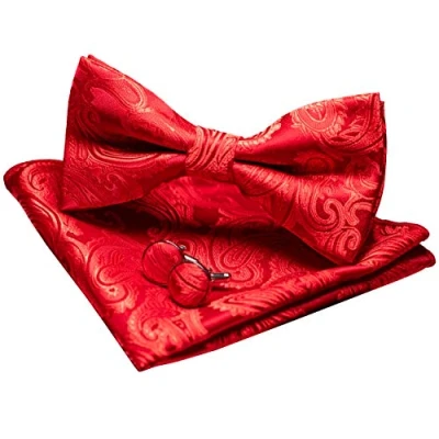 Immagine di JEMYGINS Papillon Uomo Rosso Paisley Design Regolabile in Diversi Colori Partito cena di gala con Fazzoletto e Gemelli