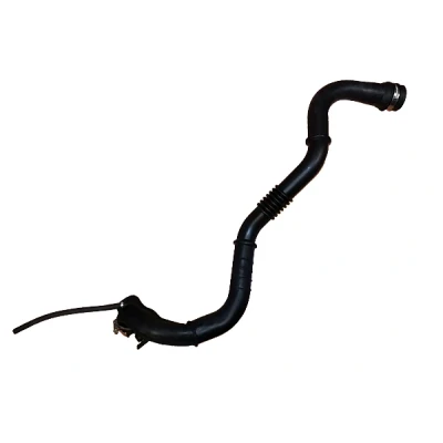 Immagine di BUGIAD 88759 Manicotto Turbina 54 RENAULT: Kangoo I, I Express, CLIO 2