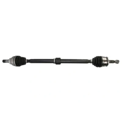 Immagine di Albero motore/Semiasse PASCAL G2X078PC