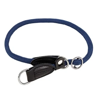 Immagine di lionto Collare per Cani Retriever da addestramento, Lunghezza 45 cm Blu