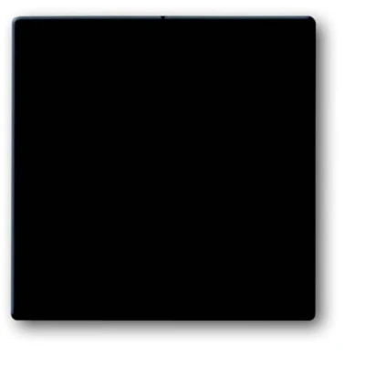 Immagine di Pulsanti in serie Placca di copertura Busch Jaeger Future Linear Nero Grigio, Antracite 2CKA001751A2930