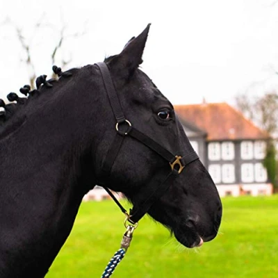 Immagine di Cavezza per Cavallo a Sangue Caldo, Freddo, purosangue, Adatta la stalla e Il pascolo, 2 sottogola Regolabili Una Parte Collo (Colore Nero, Modello Full)