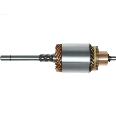 Immagine di AS PL SA4013 Ancorina, Starter