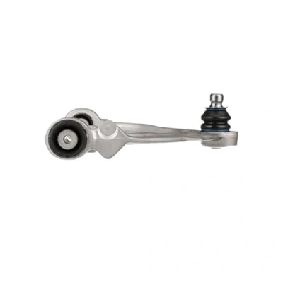 Immagine di DELPHI TC3892 Braccio oscillante, Sospensione ruota longitudinale oscillante BMW: X5, X6