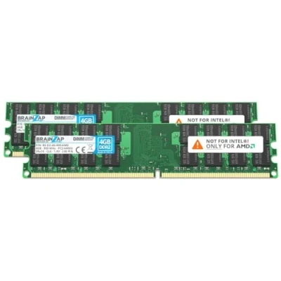Immagine di BRAINZAP Memoria RAM da 8 GB DDR2 DIMM PC2 6400U 2Rx16 800 MHz 1,8 V CL6 AMD PC (2 X 4 GB)