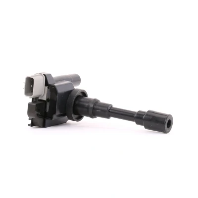 Immagine di DELPHI GN10318 12B1 Bobina d&#039;accensione 3 12 SUZUKI: SX4 I Hatchback, Jimny SUV, SWIFT 3, FIAT: Sedici