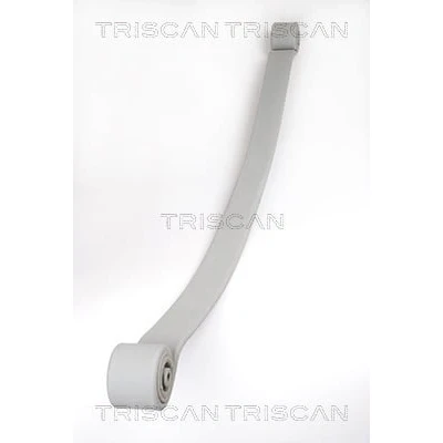 Immagine di TRISCAN 8765 23019 Balestre Assale posteriore