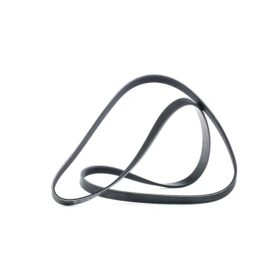 Immagine di DAYCO 5PK1545 Cinghia Poly V 1545,0 5 OPEL: Corsa D Hatchback, Astra H Caravan, Zafira B, FIAT: Croma II Station Wagon, Stilo Hatchback