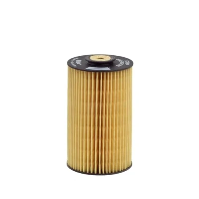 Immagine di HENGST FILTER E10KP D10 filtro Carburante Cartuccia