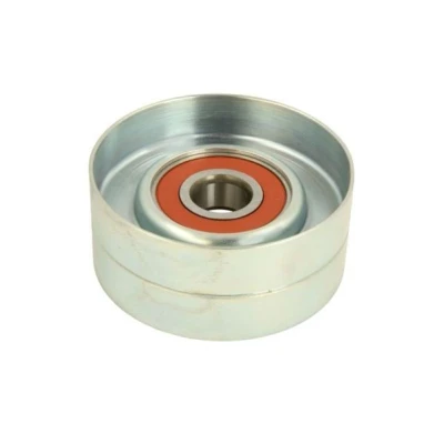 Immagine di BTA B05 02 046 Rullo Tendicinghia