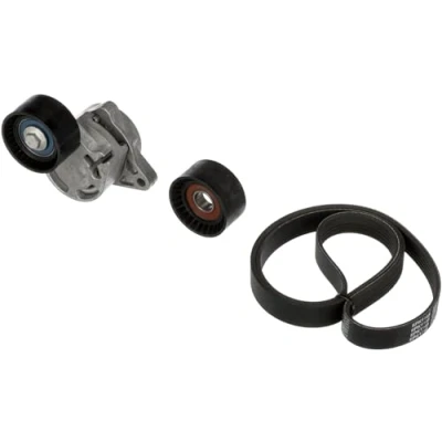 Immagine di GATES K276PK1148 Kit cinghie Poly V ThermalPro RENAULT: MASTER 2 Kasten, TRAFIC Bus, Pritsche/Fahrgestell, OPEL: Vivaro A Combi