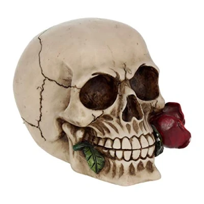 Immagine di Nemesis Now Statuetta di Rosa dei Morti, 13,5 cm, Colore: Avorio