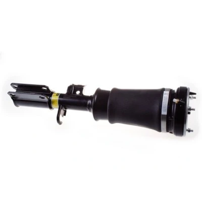 Immagine di DENCKERMANN DSA008G Gamba elastica con ammortiz. pneumatico Assale anteriore Sx