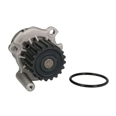 Immagine di THERMOTEC D1A024TT Pompa acqua 19 con guarnizione meccanico VOLKSWAGEN: Golf 4, Passat B5 GP Variant, AUDI: A4 B6 Avant
