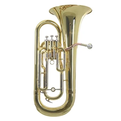 Immagine di Roy Benson Bb Euphonium EP 301 (strumento a fiato professionale, con leadpipe in ottone dorato, guide esterne alpacca, valvole acciaio inossidabile, comoda custodia sagomata)