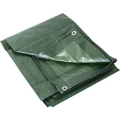 Immagine di Labor 0300152 TELONE OCCHIELLATO GR.100 Verde, 4x5 m