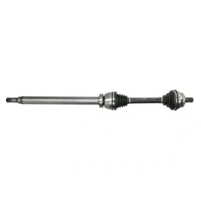 Immagine di Albero motore/Semiasse PASCAL G2V016PC