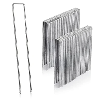 Immagine di GardenMate 100 picchetti di ancoraggio zincati in filo acciaio, lunghezza 250 mm, larghezza 25 diametro 4,1 testa piatta, per pavimenti duri e morbidi