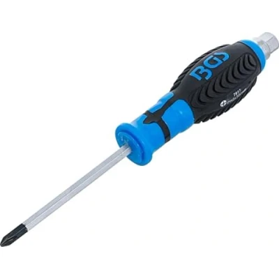Immagine di BGS cacciavite, PH numero con estera, esagonale, 1 pz 2 x 100 mm, 7913