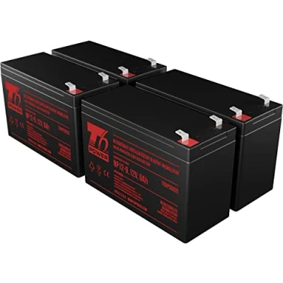 Immagine di APC KIT RBC24, RBC115, RBC116, RBC132, RBC133 Batteria di alimentazione T6
