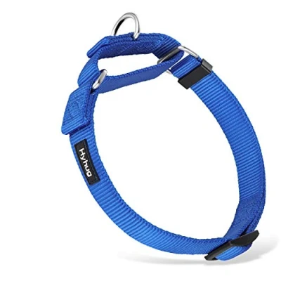 Immagine di Collare per cani medi e ragazze anti fuga Martingale resistente Allenamento a piedi Uso quotidiano (Medio M, Colore blu)