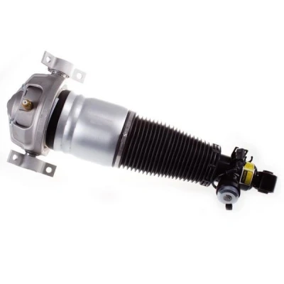 Immagine di DENCKERMANN DSA017G Gamba elastica con ammortiz. pneumatico Assale posteriore Dx