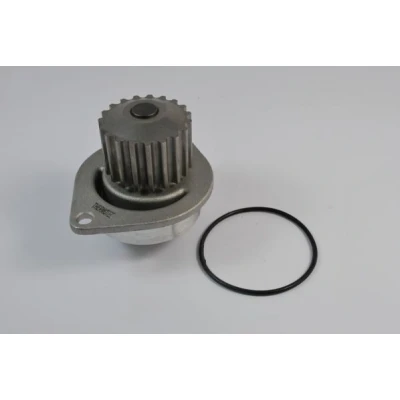 Immagine di THERMOTEC D1P010TT Pompa acqua 19 con guarnizione meccanico CITROËN: C3 II, I Hatchback, Saxo PEUGEOT: 206 207 Hatchback