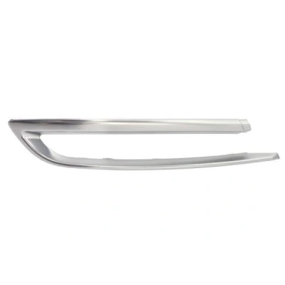 Immagine di Paraurti striscia di rivestimento/protezione BLIC 5513 00 00679721P Collegamenti