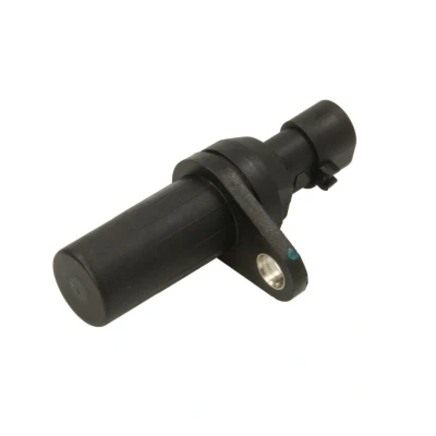 Immagine di DELPHI SS11080 Generatore di Impulsi 3 FIAT: Punto II Hatchback, Panda Grande LANCIA: Ypsilon III,