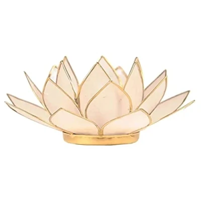 Immagine di Find Something Different Trovare Qualcosa di Diverso Colore Naturale Capiz Shell Lotus Porta Candele da tè, in bambù, Multicolore