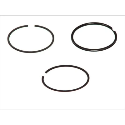 Immagine di GOETZE ENGINE 08 394500 00 Kit Fasce Elastiche 77 VOLKSWAGEN: Maggiolino
