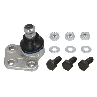 Immagine di REINHOCH RH03 2029 Testina braccio oscillante Assale anteriore Sx, inferiore 20 RENAULT: Kangoo II Express, SCENIC 2, MEGANE 2