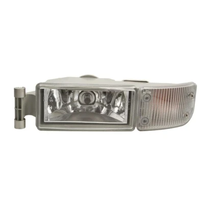 Immagine di DT Spare Parts 3.31057 Fendinebbia Sx 24 MAN: TGS