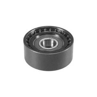 Immagine di MAGNETI MARELLI 331316170014 Galoppino/Guidacinghia, Cinghia trapezoidale