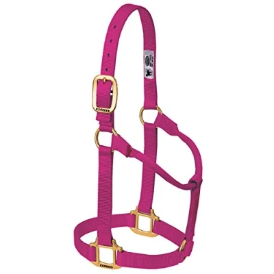 Immagine di Weaver Leather Cavezza originale per cavalli, in nylon, non regolabile, grande, colore: lampone