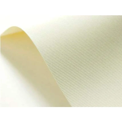 Immagine di Netuno 100x cartoncino goffrato rigato avorio formato a4 210x 297 mm 246 g carta embossed a righe goffrata cartoncini biglietti auguri strutturata textured
