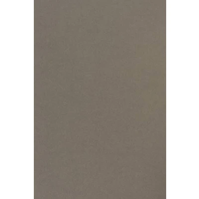 Immagine di Netuno 20x carta colorata grigio scuro formato A4 210 x 297 mm 170g Sirio Color Pietra cartoncini colorati per stampante fai da te bigliettini inviti partecipazioni Natale matrimonio compleanno