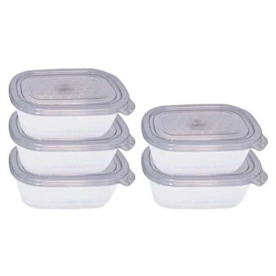 Immagine di NEEZ Set Contenitori Per Alimenti (5 Scatole) 500 ml, Piccoli Contenitore Cibo, Trasparente Box, Ermetici Coperchio, Frigo &amp; Microonde Sicuro, Plastica Food Container, Gray Color