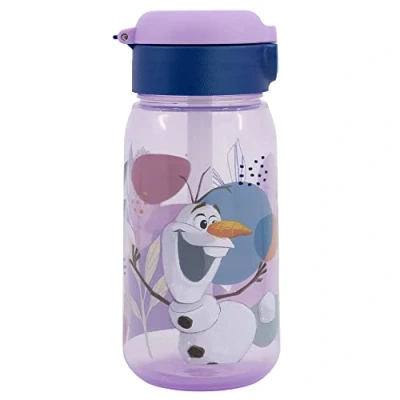 Immagine di ACTIVE BOTTIGLIA 510 ML FROZEN FIDUCIA DEL VIAGGIO Stor