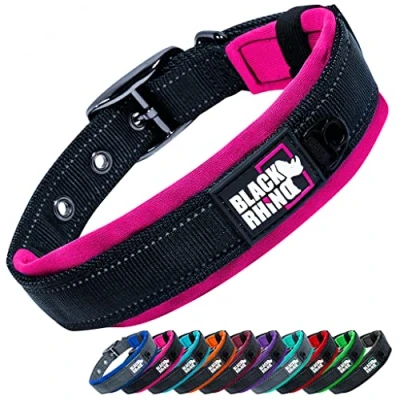 Immagine di Black Rhino Collare per cani imbottito in neoprene ultra morbido, tutte le razze, confortevole, resistente, regolabile, riflettente, impermeabile (XL, Arancione/Nero), antipulci