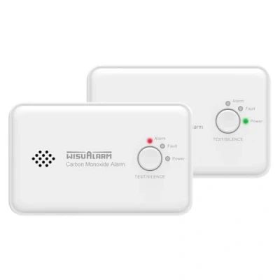 Immagine di Rilevatore Monossido di Carbonio, 10 Anni Batterie Incluse, Rivelatore con Pulsante Prova, Monitoraggio CO, Allarme Certificazione EN50291 (2 PCS)