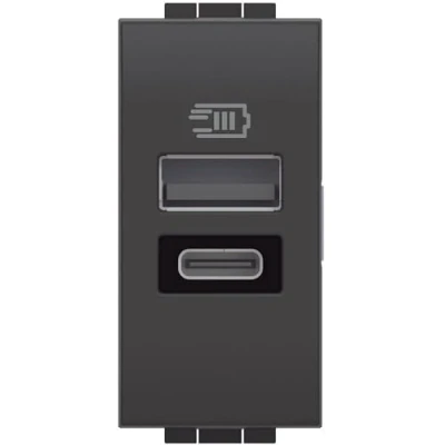 Immagine di Bticino L4191AC Caricatore USB con Due Ingressi Tipo a E C, da Installare nella Placca Livinglight, per Ricaricare un Dispositivo Elettronico Fino 15W o Dispositivi Assieme, 1 Modulo, Antracite